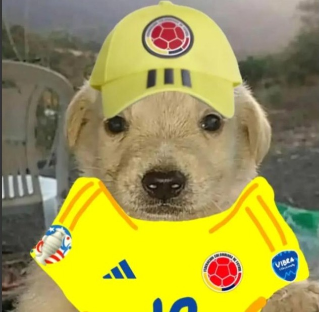 supporters member img